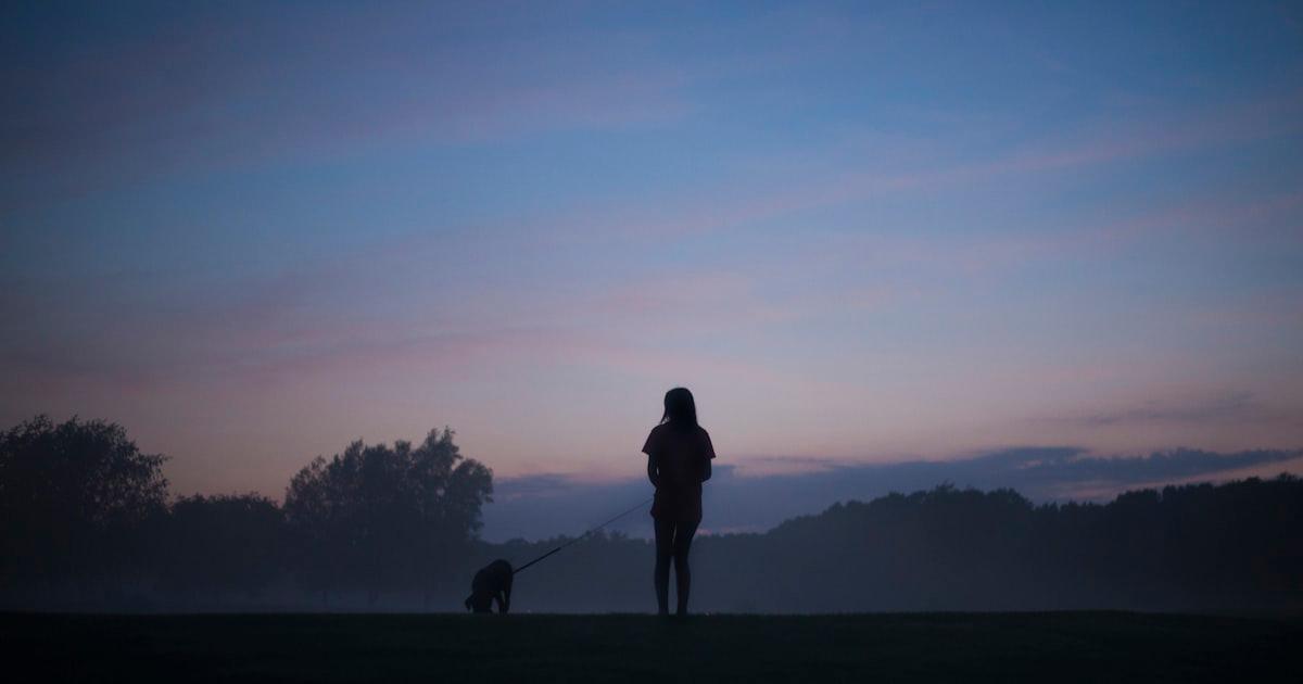 Mon Chien Aboie la Nuit : 7 Causes et Solutions Efficaces