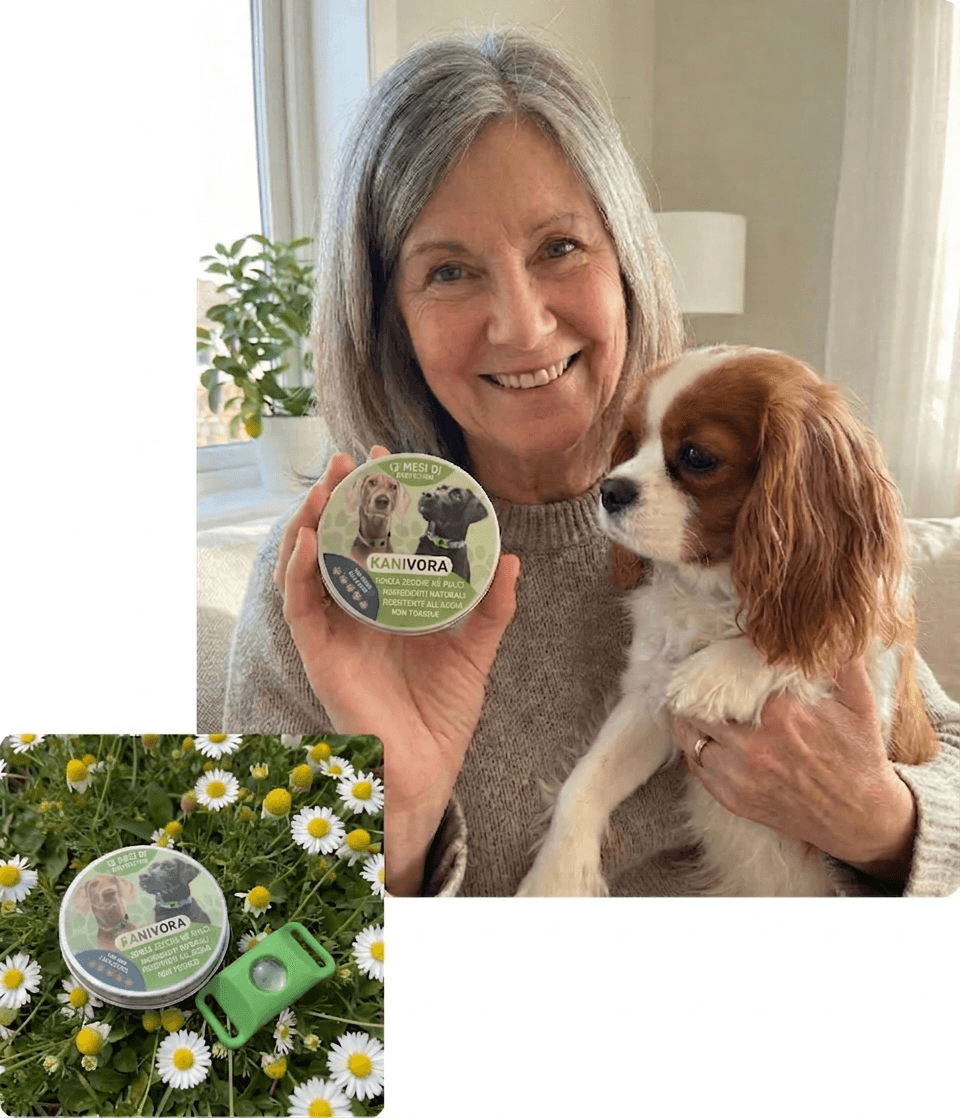 "Ho Quasi Perso i Miei 2 Cani": La Testimonianza di Claire