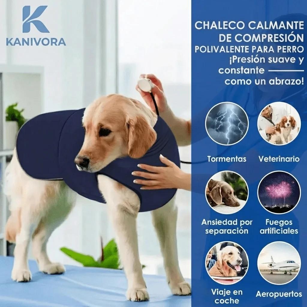 CâlinVest — Chaleco Antiansiedad para Perros - foto 2