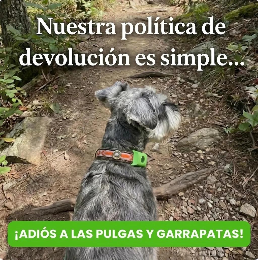 Colgante Antipulgas Natural — Protección 12 Meses para Perros - foto 9