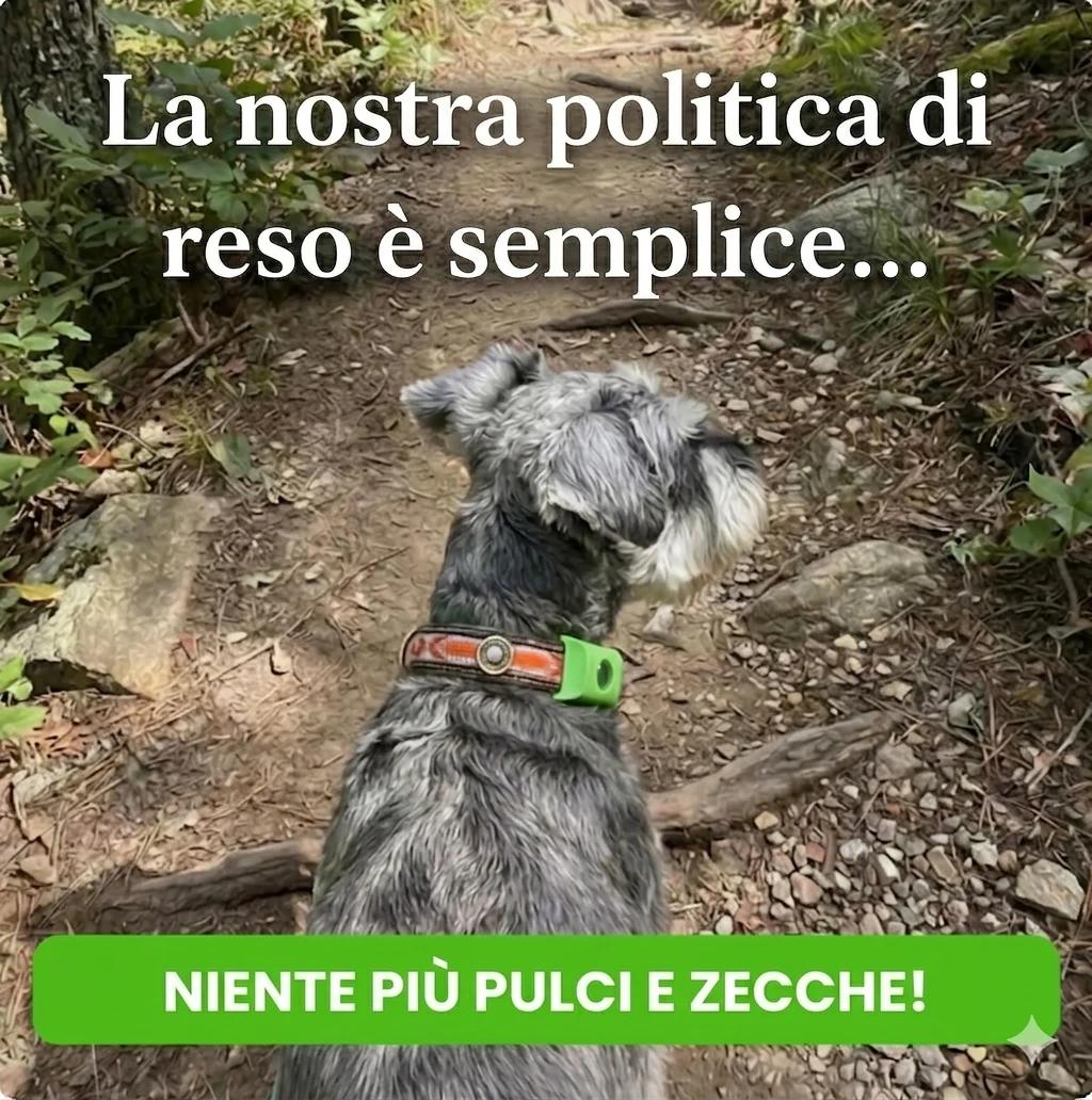 Ciondolo Antipulci Naturale — Protezione 12 Mesi per Cani - foto 9