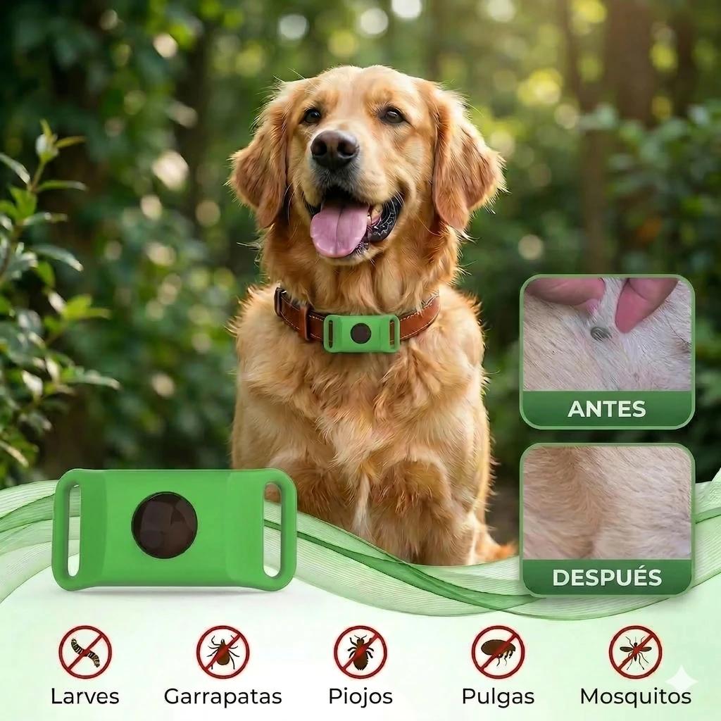 Colgante Antipulgas Natural — Protección 12 Meses para Perros - foto 5