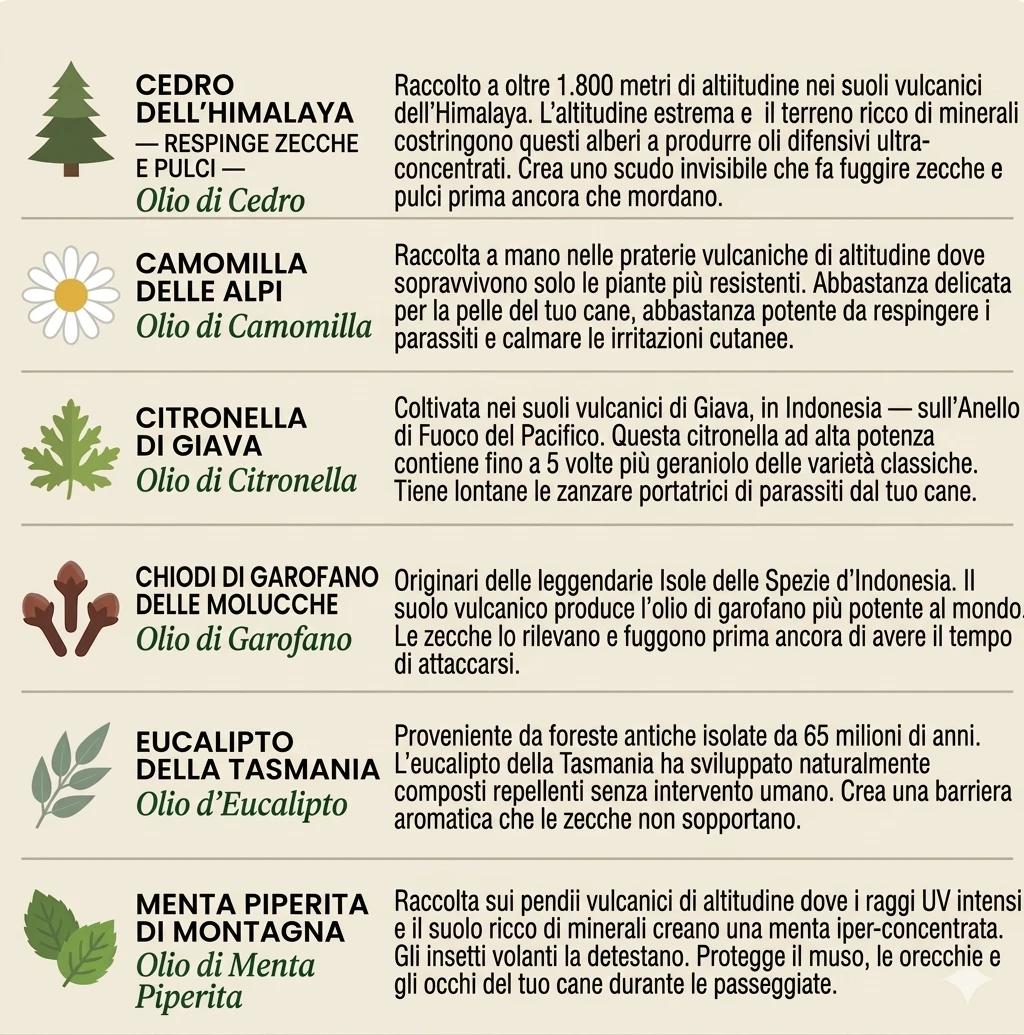 Ciondolo Antipulci Naturale — Protezione 12 Mesi per Cani - foto 7