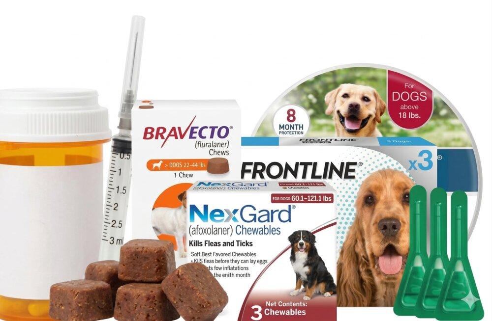 Traitements chimiques — pipettes, comprimés, colliers