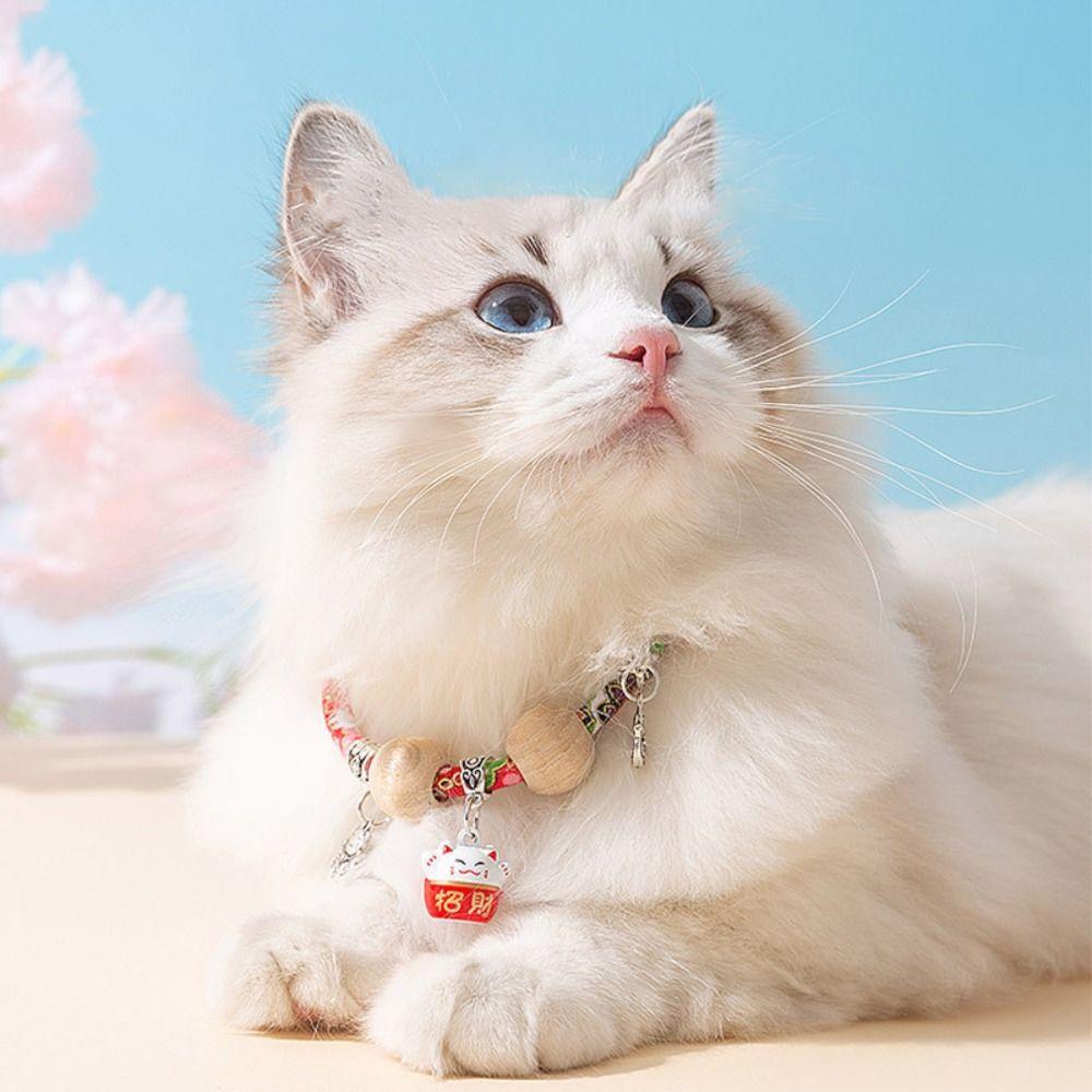 Collier Répulsif Naturel pour Chien - photo 3