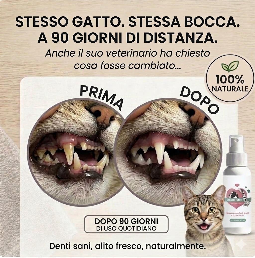 Spray Dentale — Alito fresco e anti-tartaro - foto 4