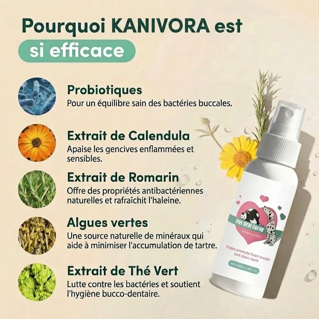 Spray Dentaire — Haleine fraîche & anti-tartre - photo 3